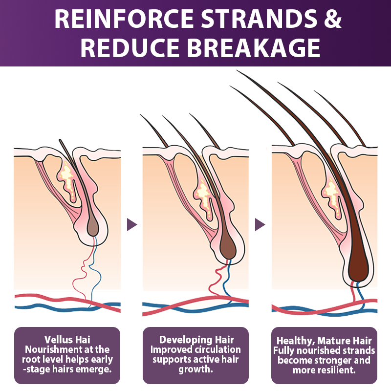 💇‍♀️From Hair Loss to Full Growth✨– How 𝐑𝐨𝐥𝐢𝐦𝐞𝐲® 𝐒𝐓𝐄𝐌 𝐂𝐞𝐥𝐥 𝐇𝐚𝐢𝐫 𝐂𝐲𝐜𝐥𝐞 𝐑𝐨𝐥𝐥𝐞𝐫 Reverses Follicle Dormancy |👨‍⚕️Developed by Trichologists |🦘TGA Registered