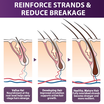 💇‍♀️From Hair Loss to Full Growth✨– How 𝐑𝐨𝐥𝐢𝐦𝐞𝐲® 𝐒𝐓𝐄𝐌 𝐂𝐞𝐥𝐥 𝐇𝐚𝐢𝐫 𝐂𝐲𝐜𝐥𝐞 𝐑𝐨𝐥𝐥𝐞𝐫 Reverses Follicle Dormancy |👨‍⚕️Developed by Trichologists |🦘TGA Registered